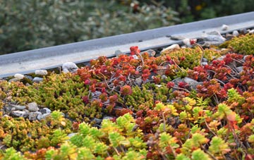 the cost of Bitton green roof installation