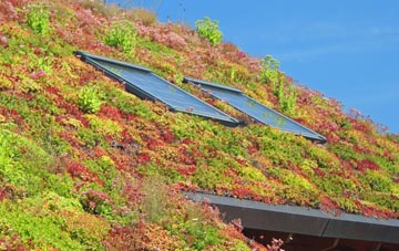Bitton living roof systems