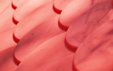 Bitton plastic roof costs